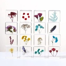 1 Buah Kubus Resin Kristal Transparan Bunga Kering Alami Asli, Spesimen Tanaman Alami, Dekorasi Meja, Hadiah, Berbagai Gaya Bunga dan Daun, Dekorasi Meja Mini dan Hadiah DIY - Spesimen serangga persegi berukuran 3,8 cm - View 5