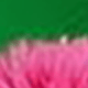 彩色