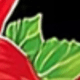 MultiWarna