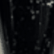 الأسود