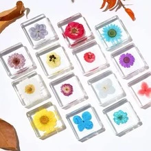 1 Buah Kubus Resin Kristal Transparan Bunga Kering Alami Asli, Spesimen Tanaman Alami, Dekorasi Meja, Hadiah, Berbagai Gaya Bunga dan Daun, Dekorasi Meja Mini dan Hadiah DIY - Spesimen serangga persegi berukuran 3,8 cm - View 4