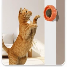 3 Colors Cat Pumpkin Licking Toy, Wall-Mounted Rotating Cat Chew Toy, And Healthy Edible, Cleans Teeth And Relieves Anxiety, Suitable For All Ages Of Kittens And Cats - Multicolor - View 6