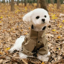 1pc Pet Handsome Windproof Outdoor Jacket, Dog Clothes For Small And Medium Dogs, Teddy, Bichon, Schnauzer - Olive Green - View 2