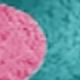 Merah Muda + Biru