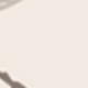 Insect Banner Spiral Set Single Spiral