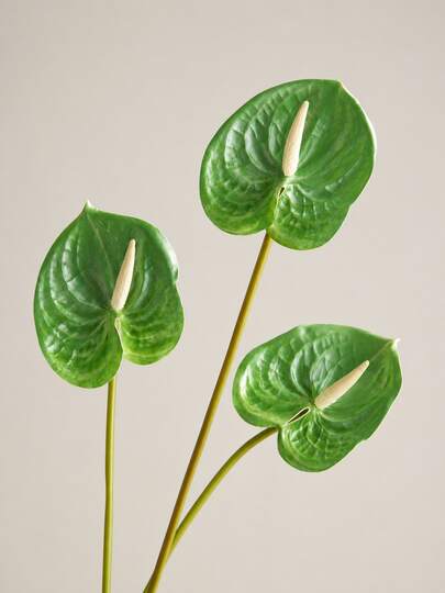 MEHELANY 4/1pc Green Artificial Bird Of Paradise Long Stem Faux Plant, Suitable For Party, Home, Wedding Decor, Halloween Decor, Harvest Vintage Tabletop Centerpiece, Floral Arrangement Bouquet, Indoor Decor, DIY Bouquet, Women's Gift