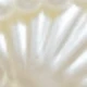 Beige 14pcs