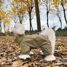 1pc Pet Handsome Windproof Outdoor Jacket, Dog Clothes For Small And Medium Dogs, Teddy, Bichon, Schnauzer - Olive Green - View 3