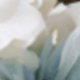 Flower Wreath + Earrings + Bracelet