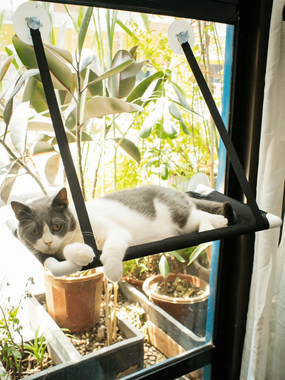 Suction Cup Wall-Mounted Cat Hammock, Stable Load-Bearing; Breathable And Wear-Resistant Fabric Surface For Comfortable Lying; Detachable And Washable For Easy Maintenance, Spacious Size, Simple Installation With No Space Occupation
