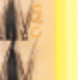彩色
