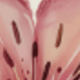 無色