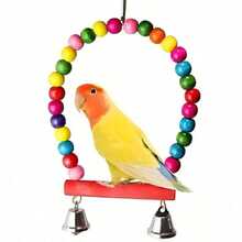 Random Color Bird Toys Perch Stand Climbing Ladder Parrot Toys Pet Supplies - 1pc Training Hoop - View 3