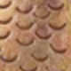 Type D Fish