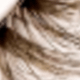 Cat Eye Lashes