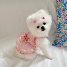 1pc Pet Daisy Mesh Tank Dress, Cute Vest Clothing For Cats And Dogs, Spring Summer Autumn - Multicolor - View 4