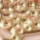 Type C Fish