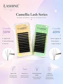 Lashine Camellia W-Shape Eyelashes, Fluffy & Dense, 3D 4D 0.07mm Mixed Style, Soft & Lightweight, Natural Look, Pre-Made Cluster Lash Fans - D - View 2