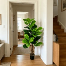 Large Artificial Ficus Deltoidea Plant, 53 Leaves, 125cm, Suitable For Home Indoor And Outdoor Decoration - Green - View 4