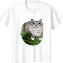 Watermelon Cat Silly Cat Meme T-Shirt A Hilarious Watermelon Print Shirt Is A Stylish Unisex Top for Both Men and Women - Blanco - Ver 1