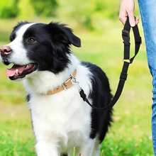 1pc Adjustable Pet Car Safety Belt - 6 Colors Available, Durable And Easy To Wear, Suitable For Dogs/Cats Travel, Anti-Collision And Anti-Bite, Fits Small/Medium/Large Pets - Multicolor - View 4