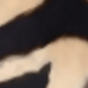 彩色