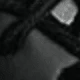 الأسود