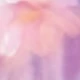 Mauve Purple