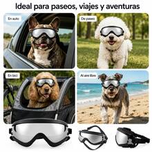 TUNKE. Waterproof And Windproof Pet Sunglasses - Black - View 6
