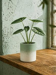 1個鼠尾草綠漸層植物盆，現代極簡圓柱形室內花盆，附壓紋紋理，適合室內植物、多肉植物、宿舍、學生公寓、書桌、辦公室及返校裝飾 - 鼠尾草綠漸變 - 查看 5