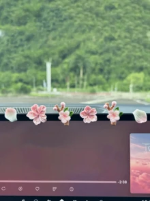 6件套汽车内饰装饰配件 - 3D桃花汽车仪表盘屏幕装饰 - 均碼 - 查看 13