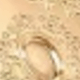 Champagne