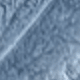 Blue-gray