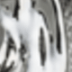 Silver Butterfly