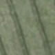أخضر عسكري