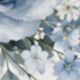 彩色