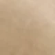 لون مشمشي