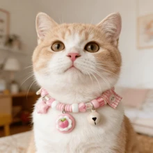 1pc Summer Cat Bell Necklace, Pet Collar, Refreshing Multicolor, Cute Fruit Bell Cat Collar, Dopamine Color Scheme, Lightweight And Comfortable, Suitable For Park, Lawn, Picnic And Kite Festival Pet Decoration - Multicolor - View 5