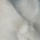 多色135