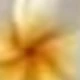 متعدد الألوان