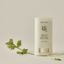 Beauty Of Joseon - Matte Sun Stick Mugwort+Camelia 18g – Matte Sun Stick - Facial Sun Protection - Mint Green - View 2