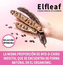 GWYNNE Elfleaf Myo & D-Chiro Inositol (90 Capsules) | 40:1 Inositol With MTHF, Folate And Vitamin D | Ovarian Support, Hormonal Balance And Female Fertility | Homocysteine Reduction And Support For PCOS - 90 Count - View 2
