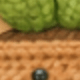 Cactus Thanks You