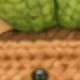 Cactus Thanks You