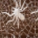 Halloween Spider Table Runner