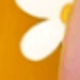 彩色