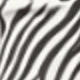 Black and White