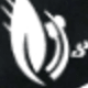 彩色