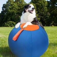 Golden-Haired Dog Inflatable Ball Set, Fun And Training Toys For Bulldogs, Australian Shepherds, Keeps Pets Engaged, Battery-Free Entertainment - Blue Orange - View 10