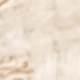 بيج